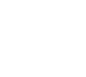 Protez Img 01 300x269 1