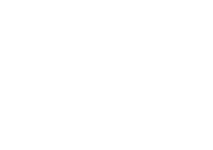 Protez Img 04 300x211 1